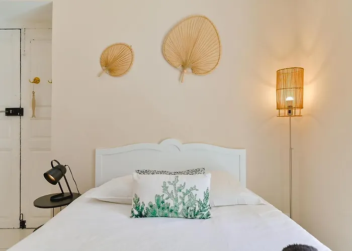 Studio Renove Hyper Centre- Ajaccio